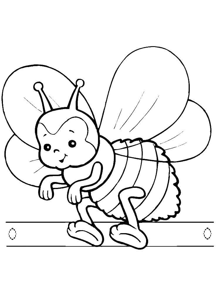 Название: Раскраска Пчела. Категория: пчела. Теги: пчела.