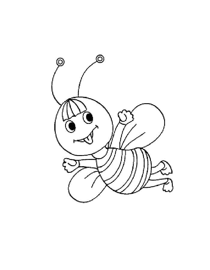 Coloring Bee. Category bee. Tags:  bee.