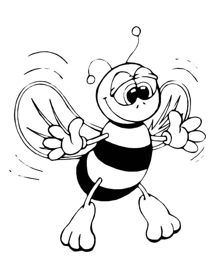 Название: Раскраска Пчела. Категория: пчела. Теги: пчела.