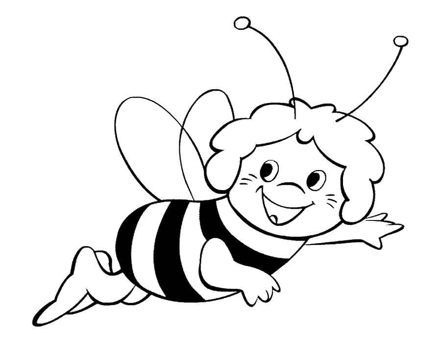 Coloring The bee may. Category the bee May. Tags:  the bee May.