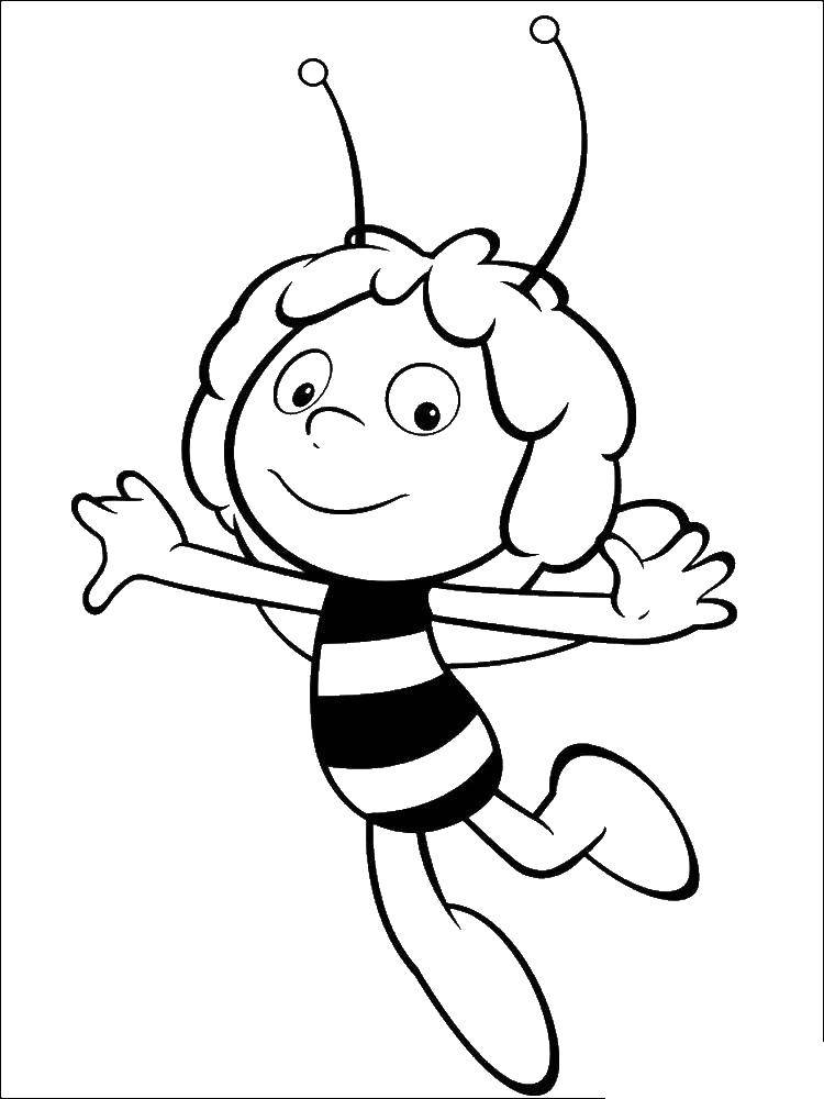 Название: Раскраска Пчелка мая. Категория: пчелка Мая. Теги: пчелка Мая.