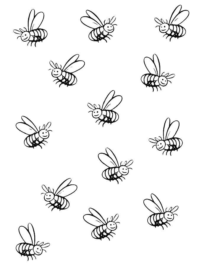 Название: Раскраска Пчелы летят. Категория: пчела. Теги: пчелы.