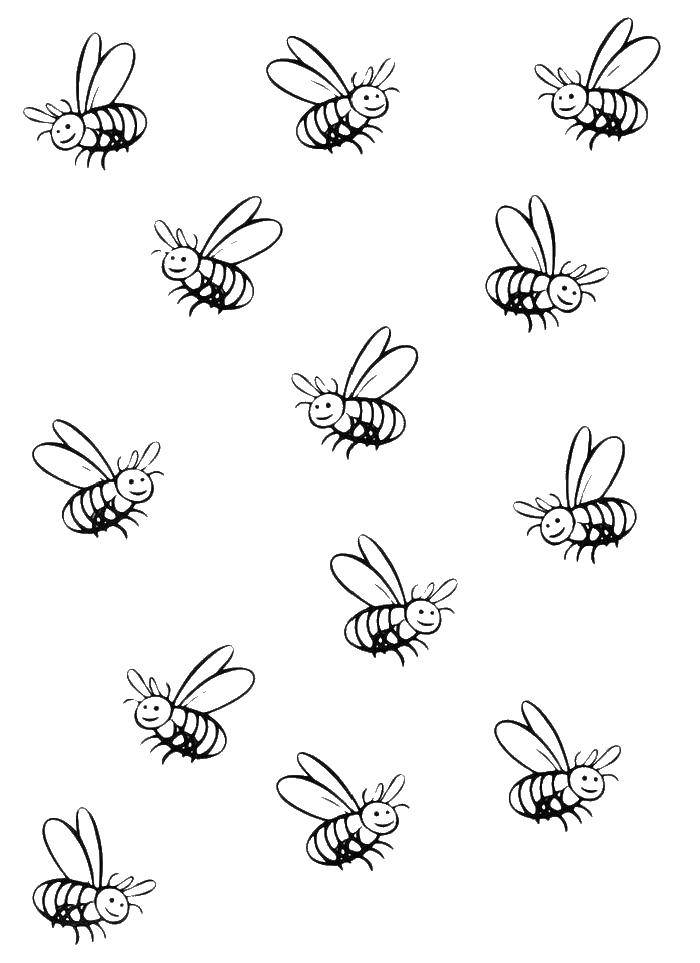Название: Раскраска Пчелы. Категория: пчела. Теги: пчелы.