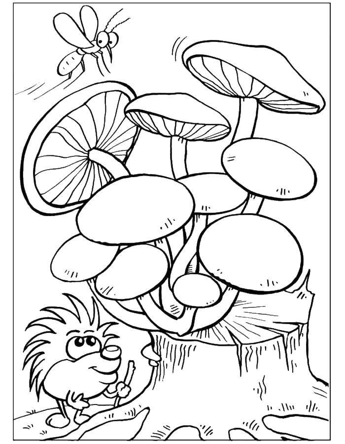 Coloring Mushrooms on tree stump. Category mushrooms. Tags:  mushrooms.