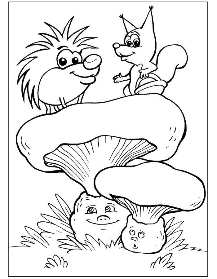 Название: Раскраска Грибы ежик и лисичка. Категория: грибы. Теги: грибы.