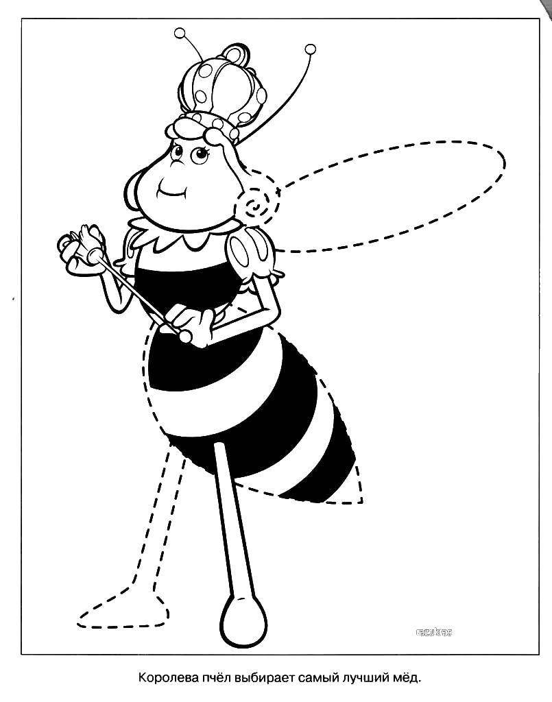 Название: Раскраска Королева пчел. Категория: пчелка Мая. Теги: Королева пчел.