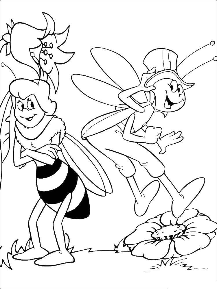 Coloring Grasshopper flipp and the teacher bee miss Cassandra. Category the bee May. Tags:  Grasshopper Flipp, teacher, bee, miss Cassandra.