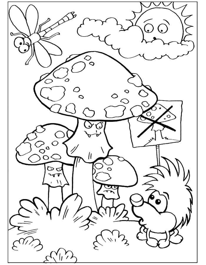 Название: Раскраска Мухоморы. Категория: грибы. Теги: мухомор, грибы.