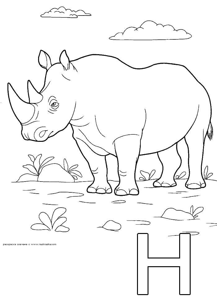 Название: Раскраска Носорог. Категория: Животные. Теги: Носорог, животные.