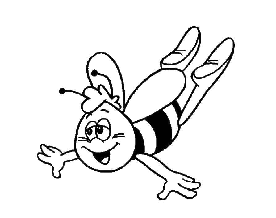 Название: Раскраска Пчела вилли. Категория: пчелка Мая. Теги: пчелка Мая, Вилли.