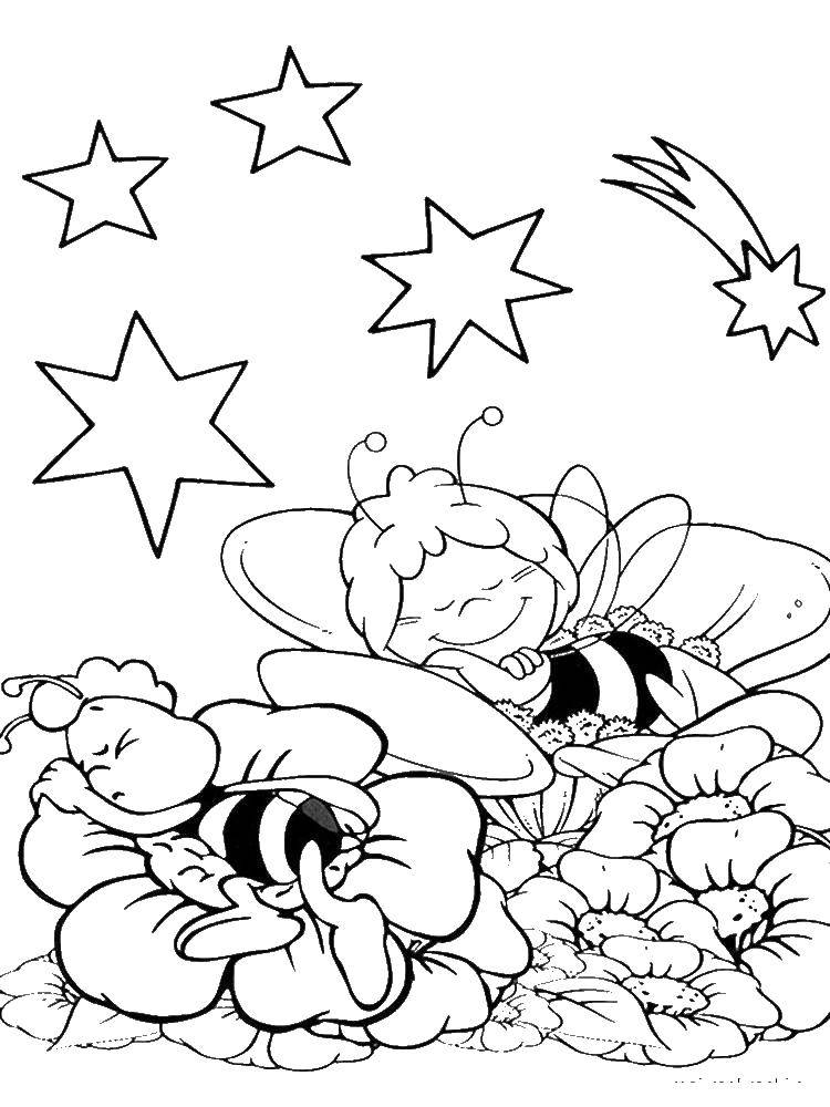 Coloring Bee may and Willie sleep on flower. Category the bee May. Tags:  the bee May, Willie.