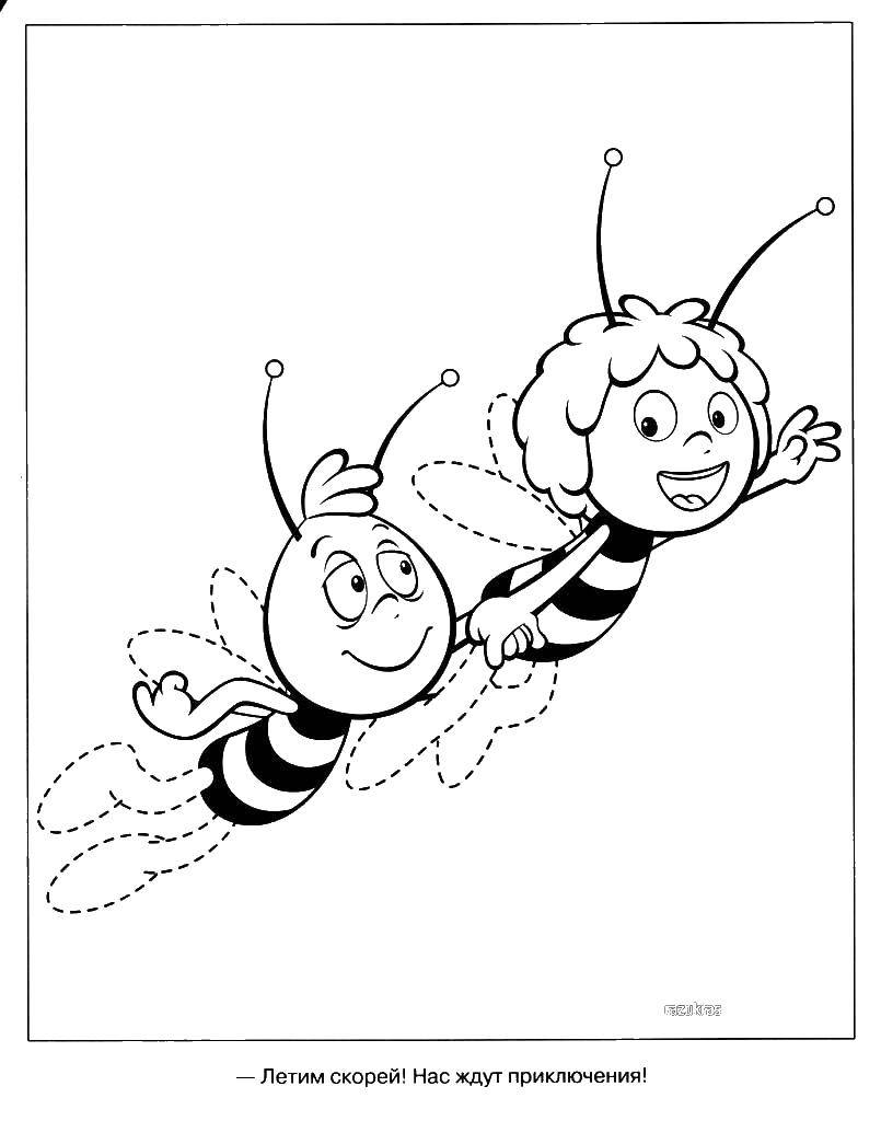 Название: Раскраска Пчелка мая и вилли. Категория: пчелка Мая. Теги: пчелка Мая, Вилли.