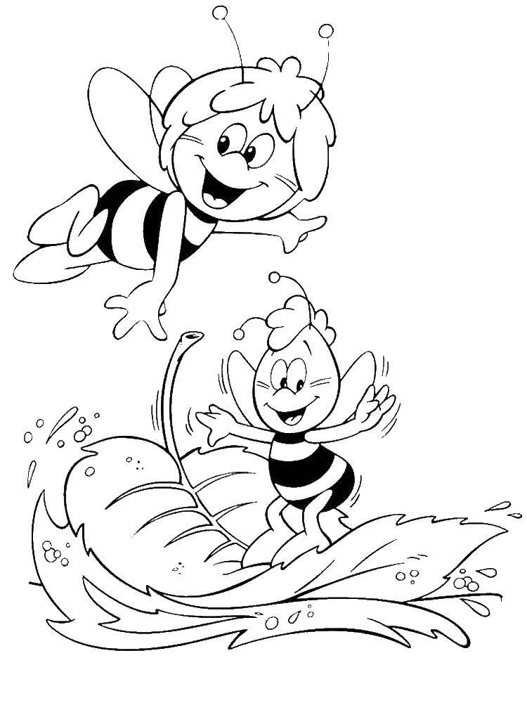 Coloring Maya the bee. Category bee. Tags:  Cartoon character, Maya the Bee.