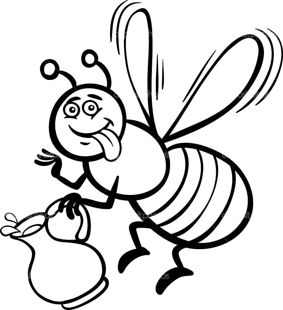 Раскраска пчела с медом для детей распечатать