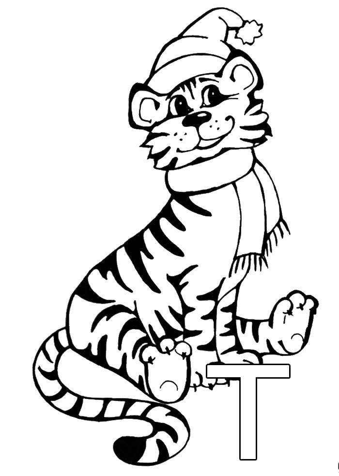 Название: Раскраска Тигр в шапке. Категория: Животные. Теги: тигр.
