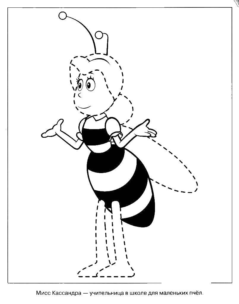Название: Раскраска Учительница пчела мисс кассандра. Категория: пчелка Мая. Теги: пчелка Мая.