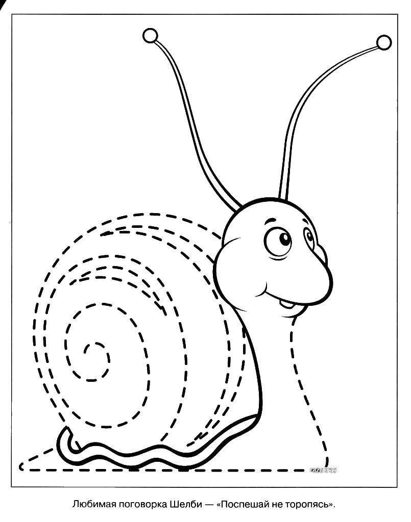 Coloring Snail. Category Insects. Tags:  snail.