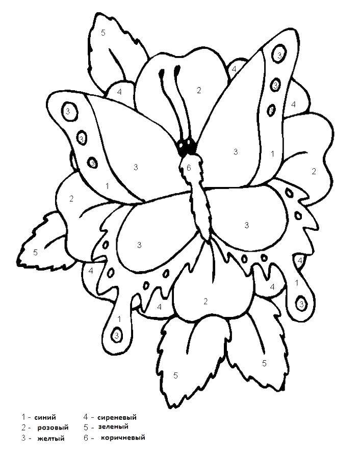 Coloring Butterfly on flower. Category butterfly. Tags:  butterfly, flowers.