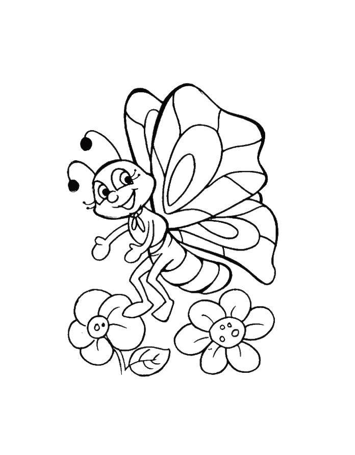 Название: Раскраска Бабочка на цветке. Категория: бабочка. Теги: бабочка, цветы.