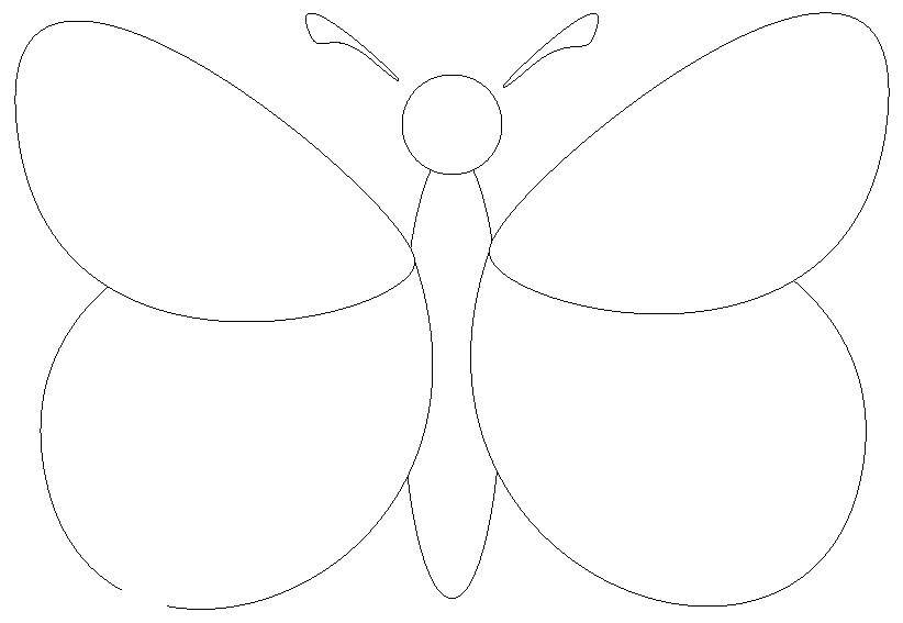 Название: Раскраска Бабочка. Категория: бабочка. Теги: бабочка.
