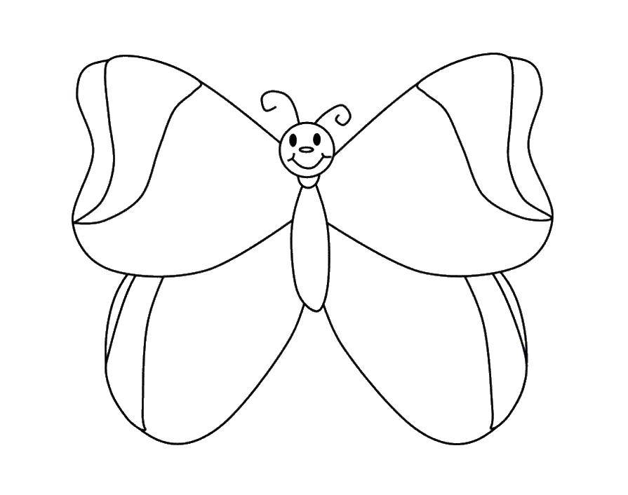 Coloring Butterfly. Category butterfly. Tags:  butterfly.