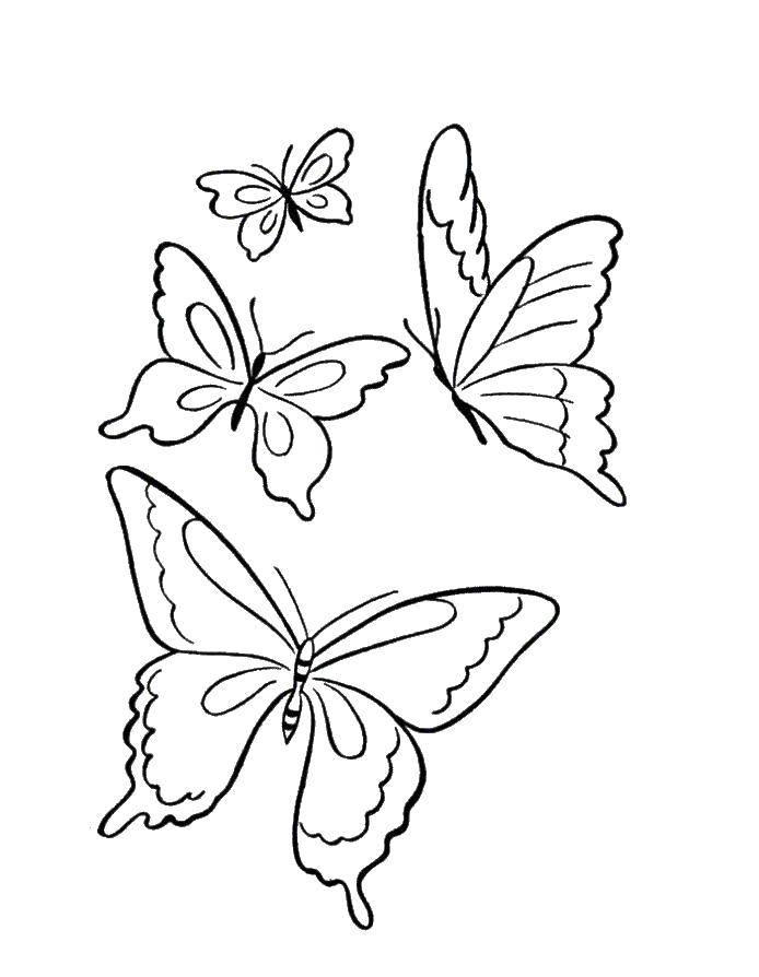 Название: Раскраска Бабочки. Категория: бабочка. Теги: бабочки.