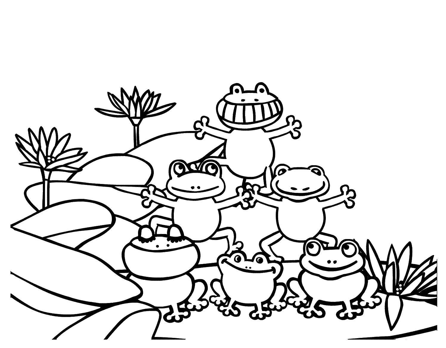 Coloring Frogs in a pond. Category frogs. Tags:  Frogs, pond.