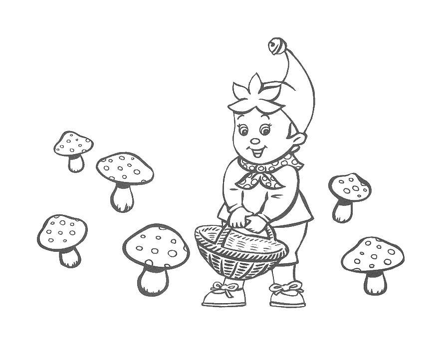Название: Раскраска Мальчик собирает грибы. Категория: грибы. Теги: грибы.