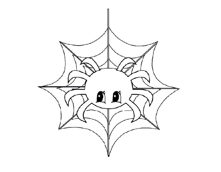 Coloring The spider on the web. Category coloring spiders. Tags:  Insects, spider.