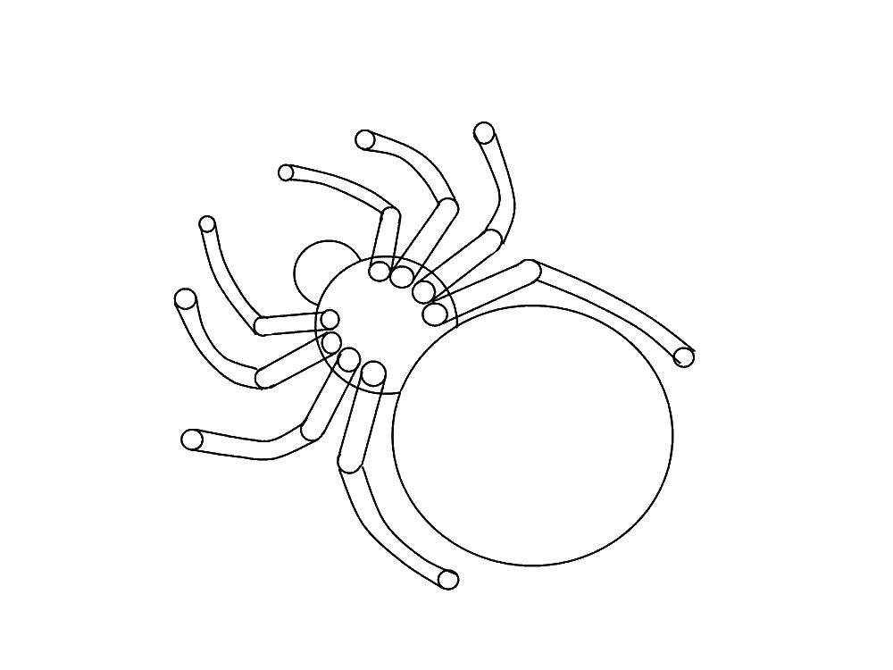 Coloring Spider. Category coloring spiders. Tags:  Spider.