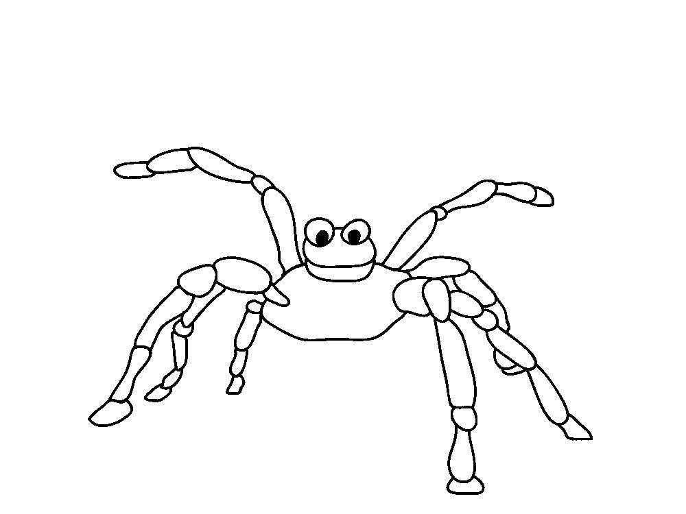 Название: Раскраска Паук. Категория: раскраски пауки. Теги: паук.