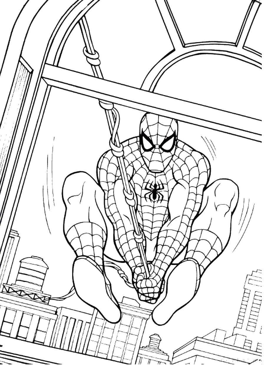 Название: Раскраска Человек паук на паутине. Категория: Комиксы. Теги: Комиксы, Спайдермэн, Человек Паук.