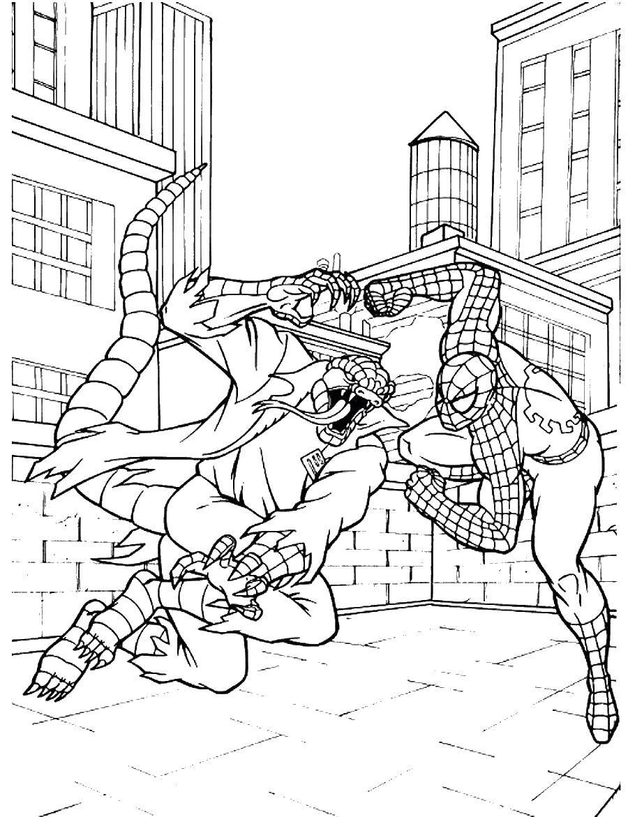 Coloring Spider-man fights with the enemy. Category Comics. Tags:  Comics, Spider-Man, Spider-Man.