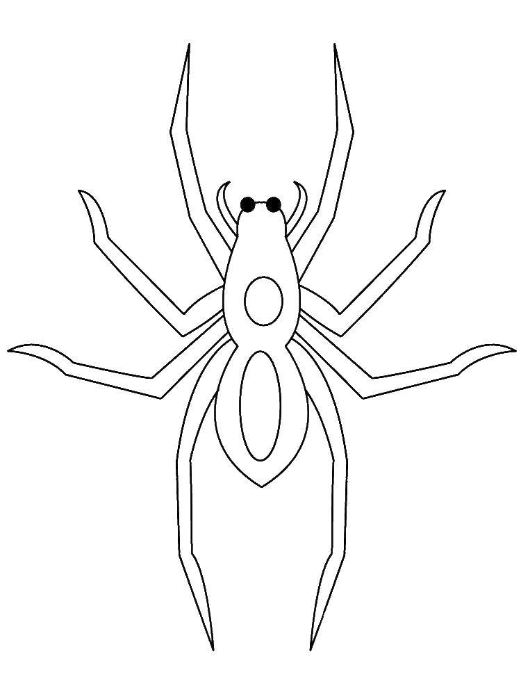 Coloring Dangerous spider. Category coloring spiders. Tags:  Insects, spider.