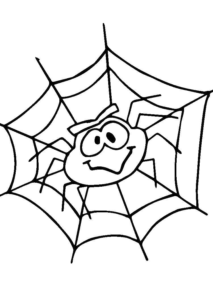 Название: Раскраска Паучок на паутине. Категория: раскраски пауки. Теги: Насекомые, паук.