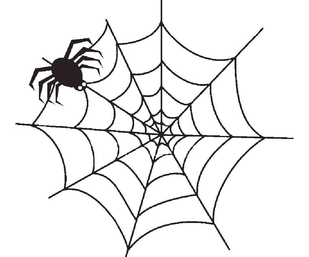 Название: Раскраска Паук на паутине. Категория: раскраски пауки. Теги: Насекомые, паук.