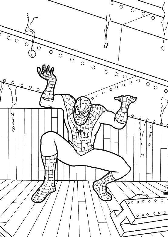 Название: Раскраска Спайдер мэн, человек паук. Категория: Комиксы. Теги: Комиксы, Спайдермэн, Человек Паук.