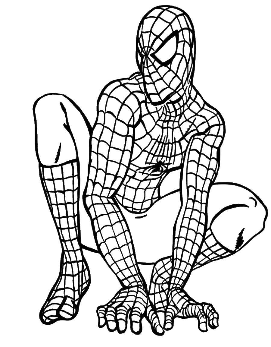 Название: Раскраска Спайдер мэн, человек паук. Категория: раскраски пауки. Теги: Комиксы, Спайдермэн, Человек Паук.