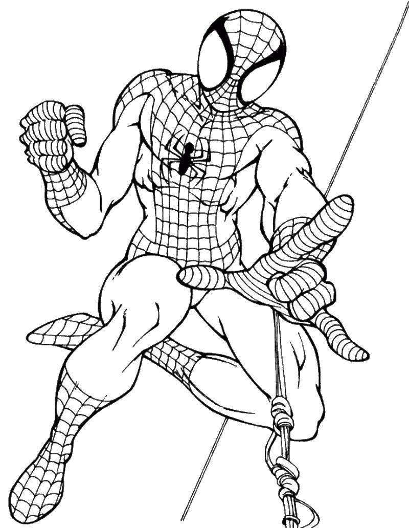 Название: Раскраска Спайдер мэн, человек паук. Категория: раскраски пауки. Теги: Комиксы, Спайдермэн, Человек Паук.