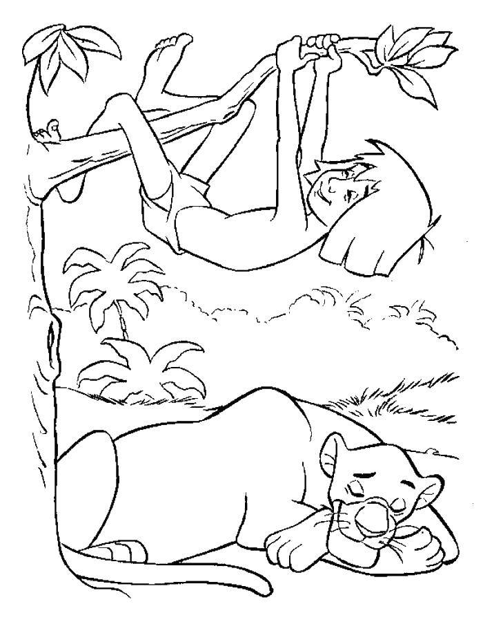 Coloring Bagheera and Mowgli. Category Mowgli. Tags:  Mowgli, Baloo, Sher Khan.