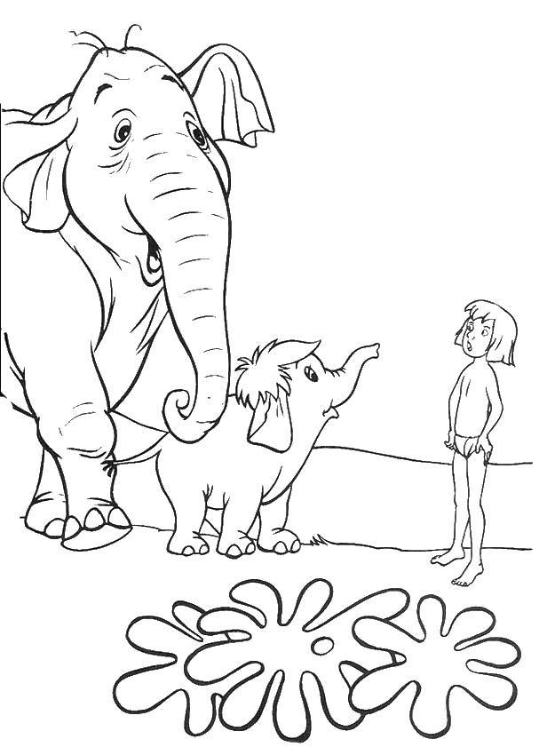Coloring Mowgli and the elephants. Category Mowgli. Tags:  Mowgli.
