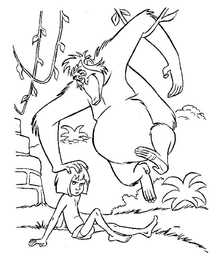Coloring The monkey and Mowgli. Category Mowgli. Tags:  Mowgli.