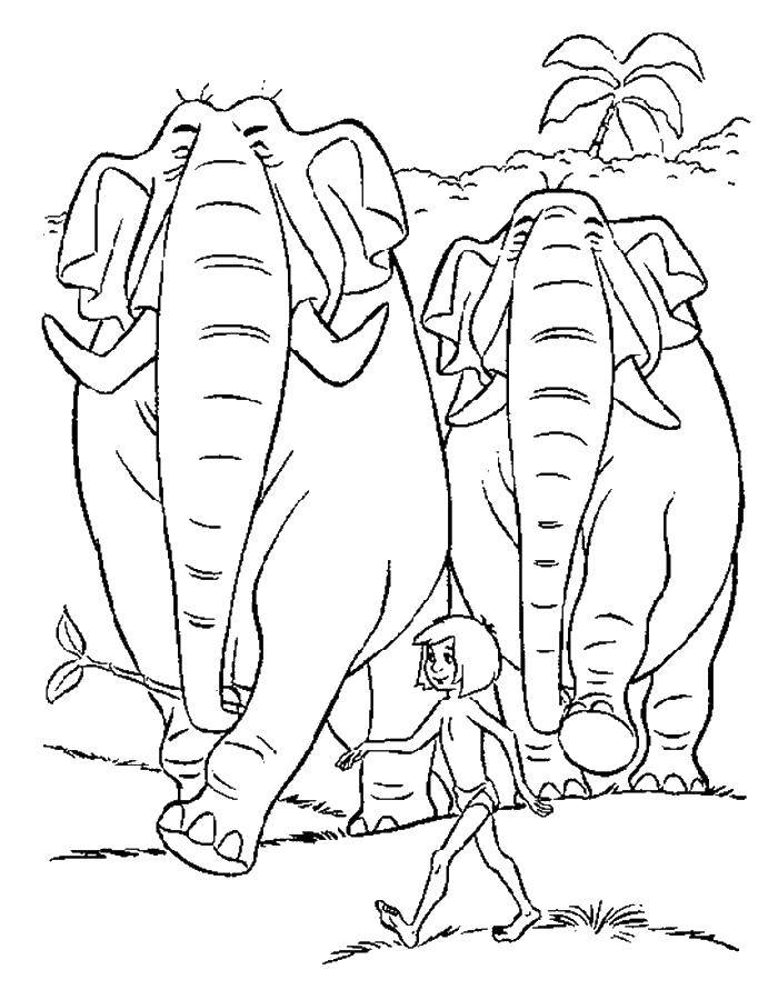 Название: Раскраска Слоны маршируют с маугли. Категория: маугли. Теги: слоны, маугли.