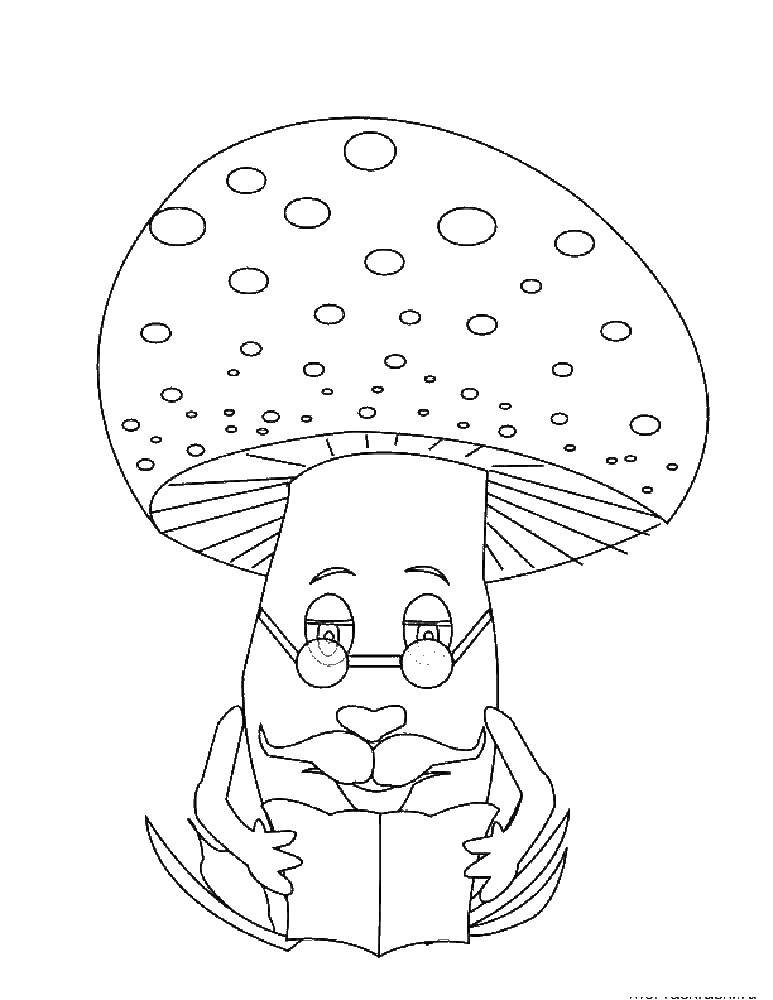 Coloring Grandfather mushroom reading a book. Category mushrooms. Tags:  mushrooms.
