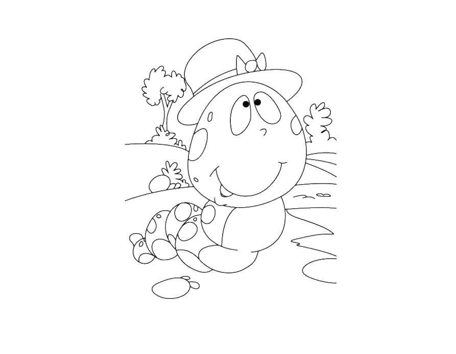 Coloring The caterpillar in the hat. Category caterpillar. Tags:  caterpillar.