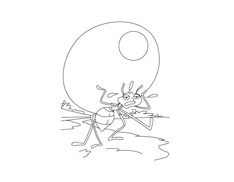 Детский муравей рисунок (54 фото) » рисунки для срисовки на l2luna.ru