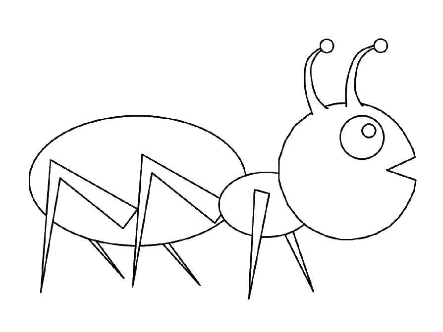 Название: Раскраска Муравей. Категория: муравей. Теги: Насекомые, муравей.