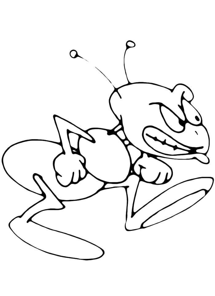 Coloring Angry ant. Category coloring. Tags:  Insects, ant.