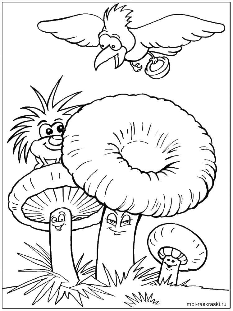 Coloring Mushrooms. Category mushrooms. Tags:  mushrooms.