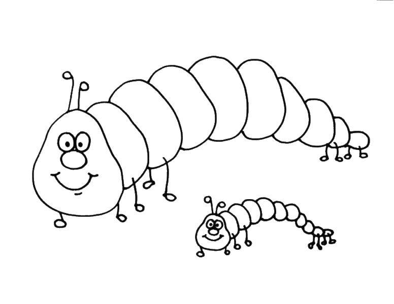 Coloring Inchworm. Category caterpillar. Tags:  Insects, caterpillar.